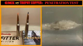 Hornady GMX vs. Federal Trophy Copper:  6.5 Creedmoor Penetration Test