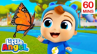 Look at the Beautiful Butterfly! | Fun Sing Along Songs by Little Angel Playtime