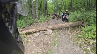 Conserve The Ride 2018 Log Crossing