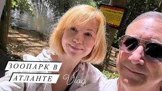 Vlog:🇺🇸АМЕРИКА СЕГОДНЯ/ АТЛАНТА/ДЖОРДЖИЯ/ЗООПАРК