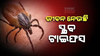 Scrub Typhus | Fever Grips Odisha; Know Symptoms