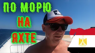 ЕГИПЕТ 2021! Экскурсия На Остров Тиран! Серия #6