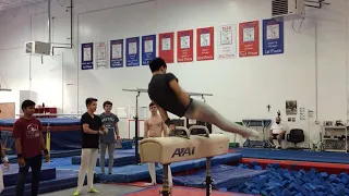 pommel sequence: scissor handstand, moore, D flop, D russian, dismount