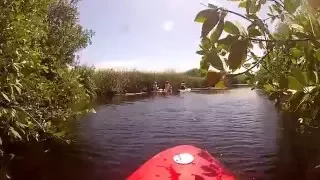 Paddleboarding in the Dominican Republic