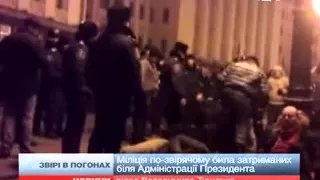 Відео дня:  "Беркут " по-звірячому бив затриманих...