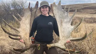 Finding Moose Antlers in Alaska / Shed Hunting