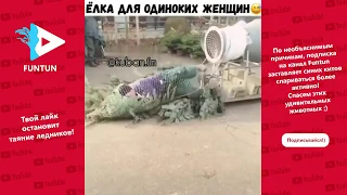 Приколы 2018 года, Декабрь | Смешная подборка видео приколов.