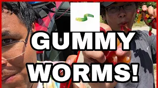 GUMMY WORM FISHING! Catches huge bass on private lake ! *3 pounder*