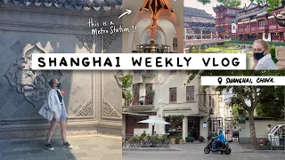 Shanghai Weekly Vlog🌱Former French Concession, Rooftop Bars, Yu Gardens | 🇨🇳 Life in China