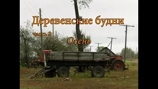 Деревенские будни #3, осень