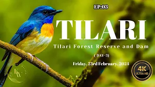 EP03 A Breathtaking Journey to Tilari Forest Reserve and Dam 1