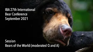 IBA 27th International Bear Conference - Bears of the World (moderated Q and A)