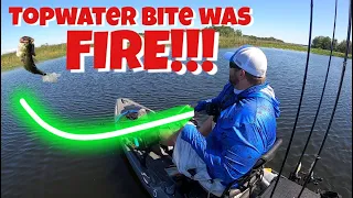 First time kayak fishing this Florida lake!