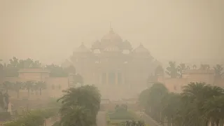 Север Индии окутал густой ядовитый туман