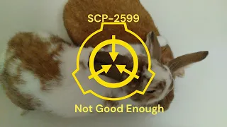 SCP-2599: Not Good Enough | Unwilling Reality Bender