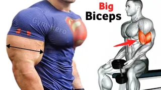 5 Killer Biceps Workouts for Massive Gains - bicep workout