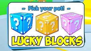 I Beat Pet Simulator X Using ONLY LUCKY BLOCKS