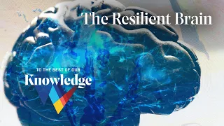 The Resilient Brain