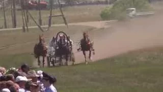 2) Русских троек. Краснотуранск 2015(Лошади-Horse–Animal-racing-конь-смотреть-онлайн-скачки)