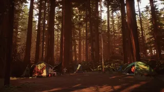 Life is Strange 2 │ ASMR / Sleep Aid │ Redwood forest camp ambience