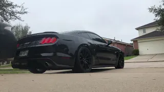 2015 Ford Mustang GT Cold Start - Borla Exhaust