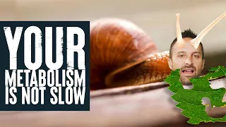 Your Metabolism is NOT slow! | New Study Breakdown | Biolayne