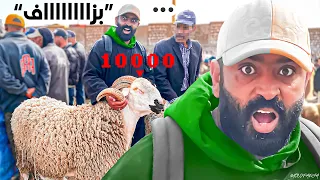 زيارة سوق سبت اولاد نما أثمنة حوالي عيد الأضحى 🐑 الاثمنة كتخلع ‼️ بتاريخ 25/05/2024