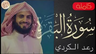 سورة البقرة کاملة رعدالکردی