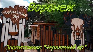 Воронеж, зоопитомник Червленый яр,. Zoo nursery "Scarlet Yar" - Voronezh.