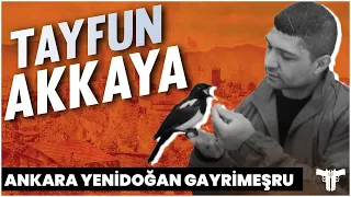 Ankara'nın ASLANI (Tayfun AKKAYA) Kimdir?  | Yenidoğan Çinçin Suç Dünyası -  Reupload