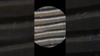 Vinyl record under a microscope. #Shorts