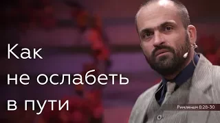 Как не ослабеть в пути? - Сергей Перевышко - Римлянам 8:28-30