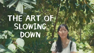 The Art of Slowing Down