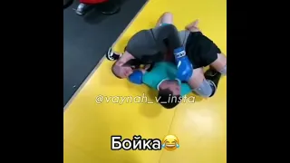 Хамзат Чимаев vs бойка 😂