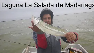 #Pesca de Grandes Pejerreyes en la Laguna La Salada de Madariaga 9 de Junio de 2021