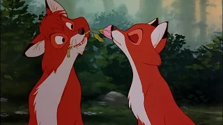 The Fox and the Hound- Appreciate The Lady