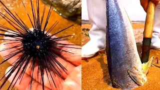 Catching Seafood 🦑🦀 Deep Sea Octopus (Catch Fish,Catch Shark) - Tik Tok #4