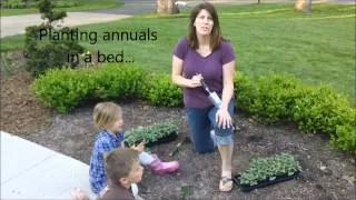 GrKids Grows: Planting Annuals