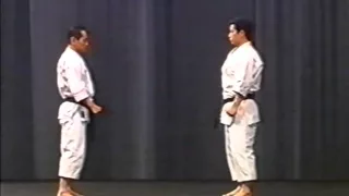 Ippon Kumite