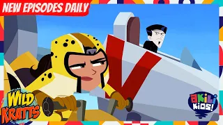 Wild Kratts | Cheetah Speed | Akili Kids!