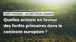 Quelles actions en faveur des forêts primaires dans le contexte européen ?