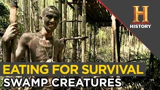 Surviving the Swamp: Eating Lizard, Monkey and Snail | Special Forces