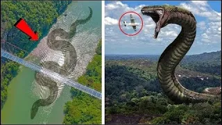 15 Deadly Monsters That Live In The Amazon