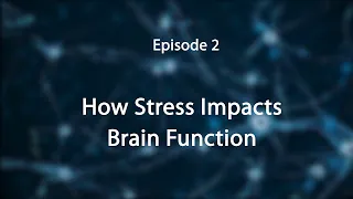 Stress, Trauma, and the Brain: Insights for Educators--How Stress Impacts the Brain