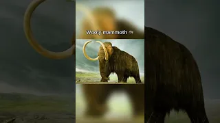 How extinct animals sounded like 💀🔊 #shorts