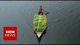 The Floating Farms of Bangladesh - BBC News