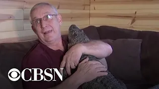 Man says emotional support alligator helped him through depression
