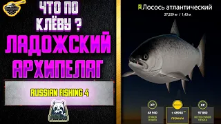 🏆Russian Fishing 4🏆Ладожский архипелаг - проверка на клёв!