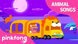 Savanna Night Tour | Animal Songs | Learn Animals | Pinkfong Animal Songs for Children