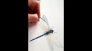 Watercolor dragonfly/watercolor tutorial/Art ideas/ #Shorts